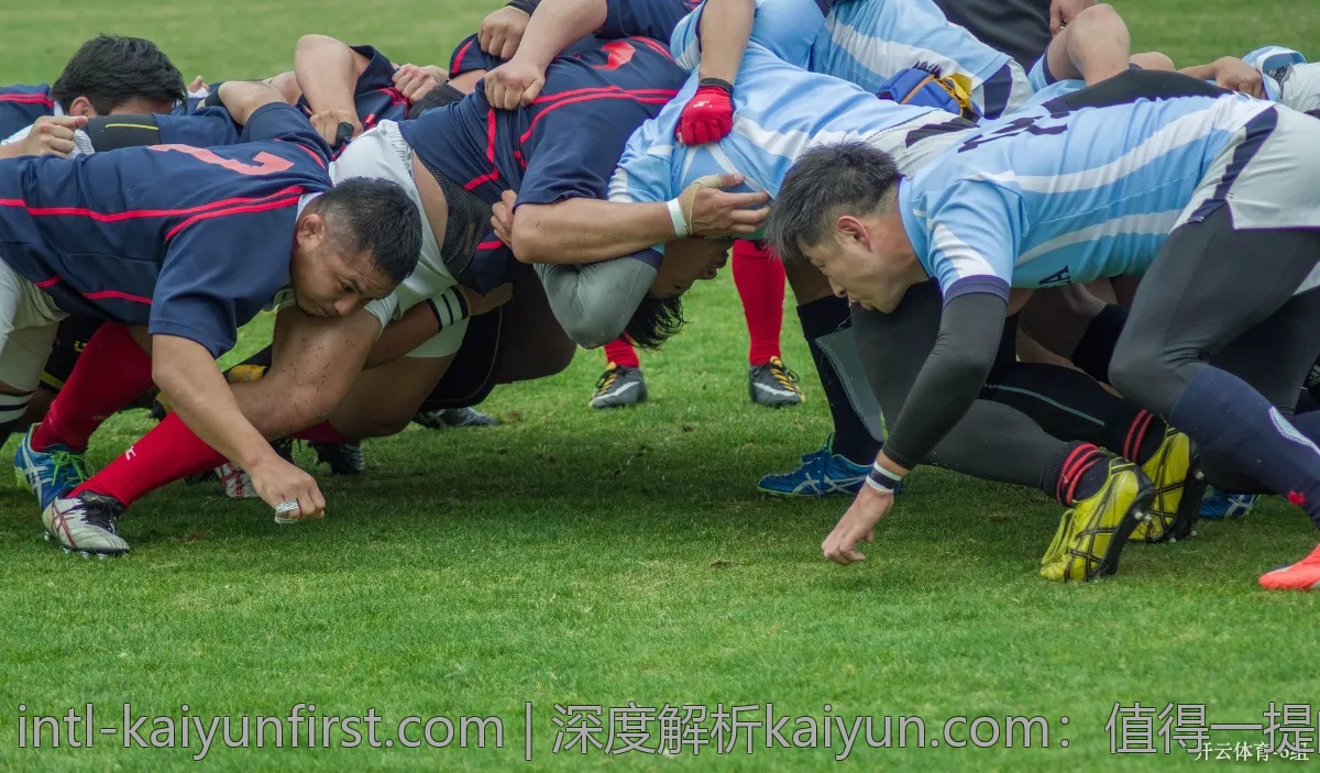 深度解析kaiyun.com：值得一提的独特功能