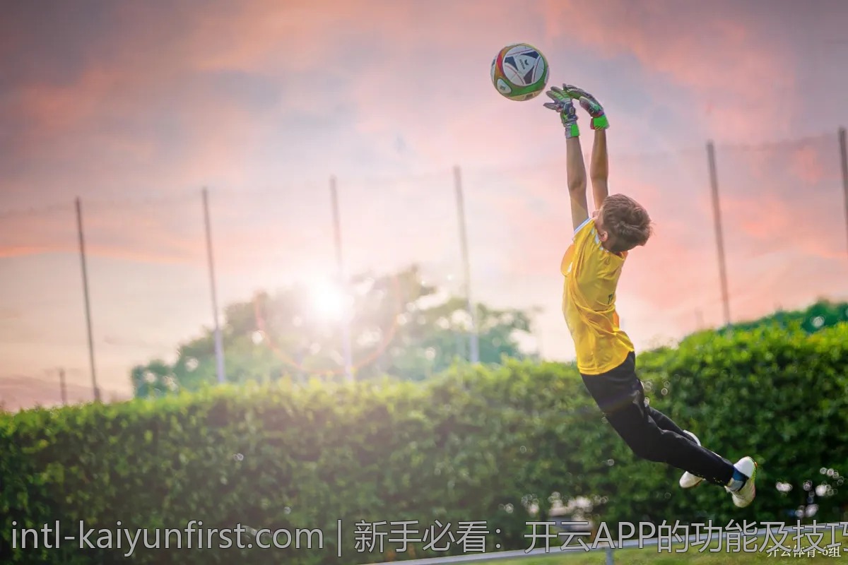新手必看：开云APP的功能及技巧全解析